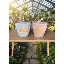 Lotus Desenli Dekoratif Çiçek ve Orkide Saksı - 2 Farklı Renk (Çiçeksizdir)