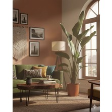 Strarliçe 270 - 300 cm Strelitzia Cennet Kuşu