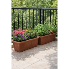 Poliva Home 2 Adet Balkon Saksı 51CM Kahverengi Plastik Saksı