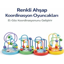 Özbience Renkli Ahşap Koordinasyon Seti, Şık ve Eğlenceli Dekorasyon Malzemeleri