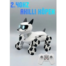 Boratila Toys 2.4ghz Şarjlı Uzaktan Kumandalı 360° Dönen Merdiven Çıkan Akıllı Robot Kedi - Köpek