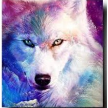 Atlas Hobi Hi Stone 5d Elmas Boncuk Taş Işleme Mozaik Goblen Kit 30X30