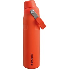 Dora Shopping Aerolight Iceflow Fast Flow Içecek Şişesi, Turuncu/mürdüm (Tigerlily Plum), 0.60 Litre