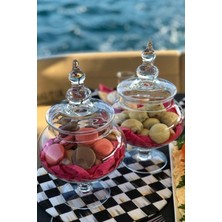 Özbience 29CM Şeffaf Cam Kurabiyelik ve Şekerlik Seti, 4 Parça, Şık Tasarım