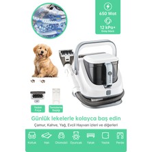 Özbience Koltuk ve Halı Yıkama Makinesi, Pratik Temizlik Çözümü, Güçlü Performans
