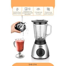 Özbience 600W Cam Blender ve Öğütücü, Smoothie ve Buz Kırıcı Fonksiyonlu
