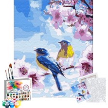 Tabdiko Sayılarla Boyama Seti 40 x 50 cm Bahar Dalında Kuşlar Tuval Şasesine Gerili Renkli