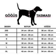 Dora Shopping Baloncuklu Boyun Tasması Gökkuşağı L 2.5 cm