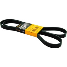 Seat Toledo 1.4 Tsı V Kayışı 2013-2014 Continental