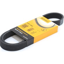 Volkswagen Golf 5 1.6 V Kayışı 2004-2009 Continental