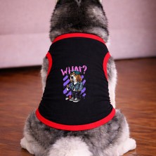 Petite Pati Siyah What Köpek Tshirt Köpek Kıyafeti (%100 Pamuk Penye) Kucuk ve Buyuk Irklar