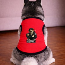 Petite Pati Kirmizi Hayirdir Köpek Tshirt Köpek Kıyafeti (%100 Pamuk Penye) Kucuk ve Buyuk Irklar