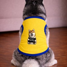 Petite Pati Sari Wanted Akita Köpek Tshirt Köpek Kıyafeti (%100 Pamuk Penye) Kucuk ve Buyuk Irklar