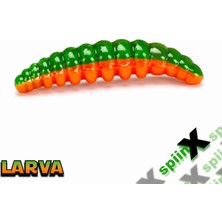 Spiinx Spıınx Larva 35MM 14P Peynir Cıtrus 54