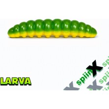 Spiinx Spıınx Larva 35MM 14P Peynir Jamaıca 72