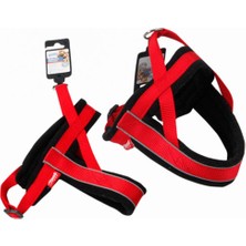 Cosmotex Pawise Yansıtmalı Tasma Xl