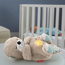 Fisher-Price Fisher Price Uyku Arkadaşı Su Samuru (2 Adet)
