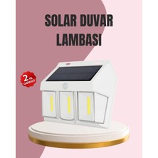 Hsc Bilişim Güneş Enerjili Bahçe ve Duvar Aydınlatma – BK-618-3 LED Lamba