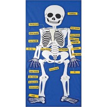 Oscar Cırtlı İskelet Pano 47x92 cm