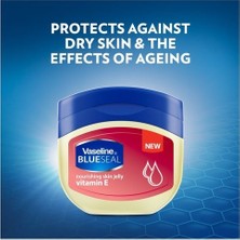 Renklime Vaseline Blueseal Vitamin E Içeren Jel 100 ml