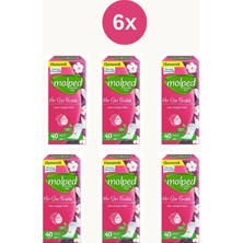 Molped Her Gün Ferahlık Günlük Ped 40'lı x 6 Adet