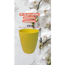 Renkli Saksılar