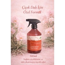 Dallandırıcı (Çiçek Dalı Çıkaran Bitkiler Için)