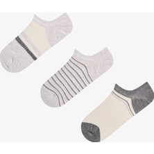 Penti Gri Fitilli Pamuklu Çizgili Jakarlı 3 Çift Sneaker Çorap