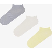 Penti 3 Çift Burun Dikişsiz Spor Microfiber Patik Çorap