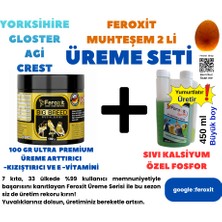 Feroxit Yorkshire-Agi-Crest ve Gloster Kanaryaları Için  Premium Çok Güçlü Kızıştırma ve Yumurtlatma Seti Bol Bolyavru Verdirtir 450 ml Egg VE100 gr Kızıştırıcı