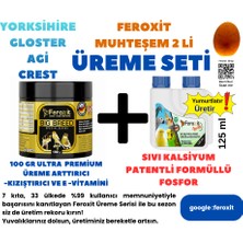 Feroxit Yorkshire-Agi-Crest ve Gloster Kanaryaları Için  Premium Çok Güçlü Kızıştırma ve Yumurtlatma Seti Bol Bolyavru Verdirtir 125 ml Egg VE100 gr Kızıştırıcı