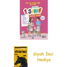 Mundi Çocuk Ilkokul 1. Sınıf Destek Kitabı + Siyah Inci