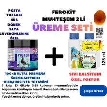 Feroxit Güvercinler Için Üreme Seti Premium Kızıştırıcı 100 gr ve Yumurtlarıcı 125MLKISA Sürede Gözle Görülür Sonuç Verir