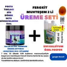Feroxit Güvercinler Için Üreme Seti Premium Kızıştırıcı 100 gr ve Yumurtlarıcı 450 ml  Kısa Sürede Gözle Görülür Sonuç Verir
