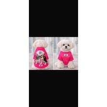 Puppy Party Fosfor Pembe Önü Fileli  Raşel Kumaş Köpek Kıyafeti.