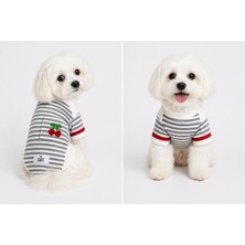 Puppy Party Penye Pamuklu Çizgili Kiraz ve Cep Detaylı  Köpek Üstü.