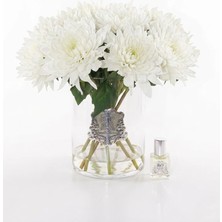 Buon Odore Yıldız Çiçeği Silver Cam 10 Lu