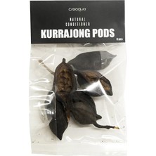 Creaqua Kurrajong Pods Teraryum Dekoru 6 Parça