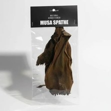 Creaqua Musa Spathe Doğal Su Düzenleyici