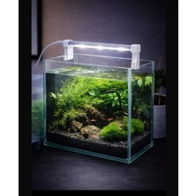 Alion Aquaclip 5V USB Ledli Mini Akvaryum Aydınlatma 20CM