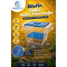 Akvaryum Tekli Yavruluk - Kolay Kurulum - Şeffaf Yapı - Mavi Kapak
