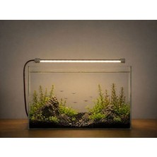 Alion Gün Işığı Daylight 30 cm Akvaryum LED Aydınlatma