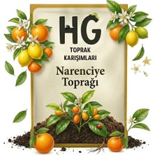 Hg Narenciye Toprağı