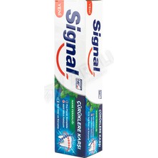 2 Adet Signal Diş Macunu Çürüklere Karşı Nane 100 ml