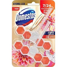 3 Adet Domestos Wc Blok  Duopack Yıldız Çiçeği & Ejder Meyvesi 100 gr