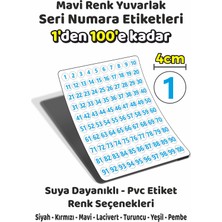 Sb Store 1'den 100'E Kadar Yuvarlak Seri Numara Etiketleri - 4cm - Mavi Renk