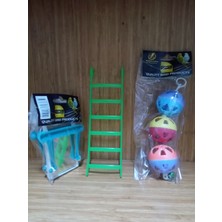 Pet Kuş Aynalı Salıncak+Kuş Merdiven+Kuşlar Için 3'lü Oyun Topu