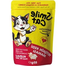 Cekar Store Cat Pouch 85 gr Kedi Kuzulu