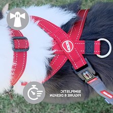 Cekar Store Çekme Önleyici Köpek Tasması – Crosscheck Köpek Koşum Takımı, Küçük, Orta Boy ve Büyük Köpekler Için, Köpek Eğitim Aksesuarı, Yansıtıcı, Boyutu Ayarlanabilir (M, Siyah)