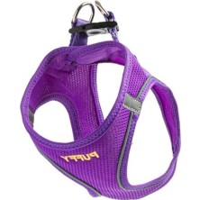 Cekar Store Kişiye Özel Airmesh Köpek Göğüs Tasması Isimli Göğüs Tasması I Küçük ve Orta Irk Köpekler I Renk Seçenekli (Mor, Xs)